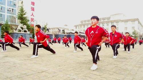 泰龙武术学校爆料视频,揭秘武术培训背后的真相  第3张